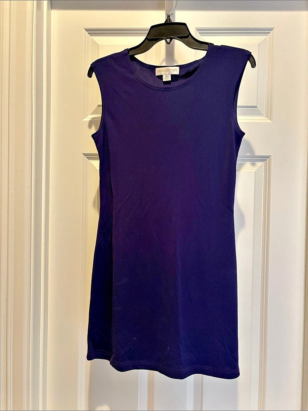 Petite Sophisticate Sleeveless Mini Dress in Purple
